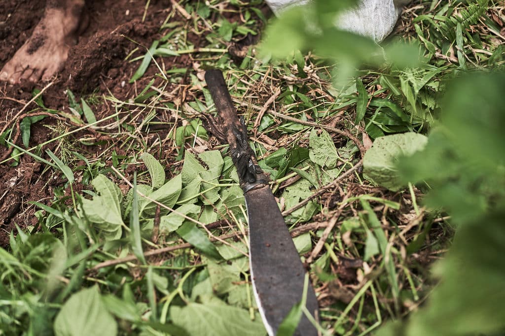 Working with botanical material in cultivation site