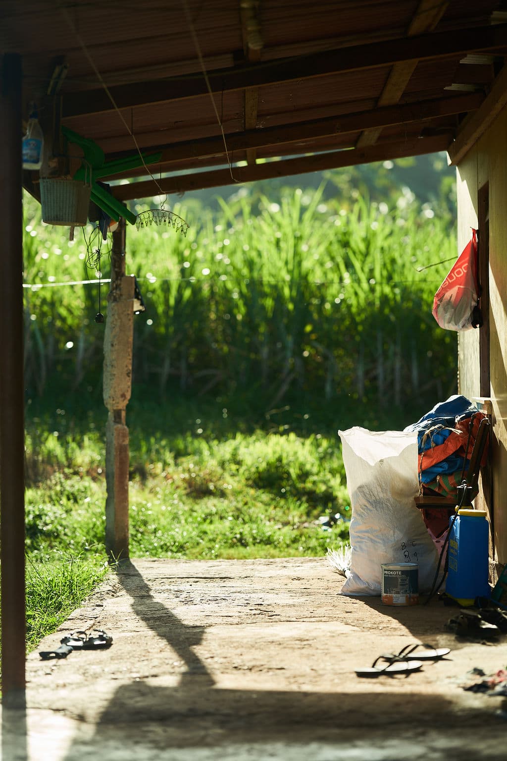 Working botanical material at a sourcing partner's facility