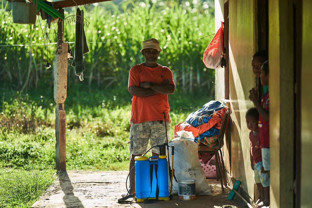 Cooperative members at a Pacific noble-varietal kava harvest